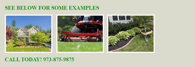 landscaping website photos examples