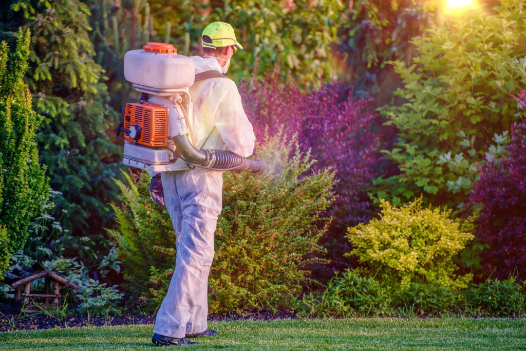 Pest Control Garden Spraying by Professional 