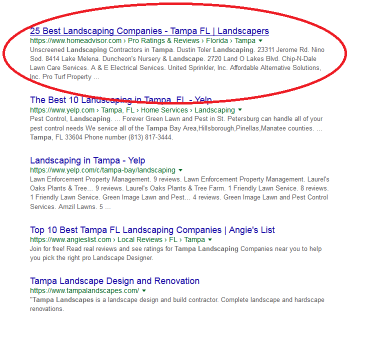 example of seo practices in search results for tampa landscaping