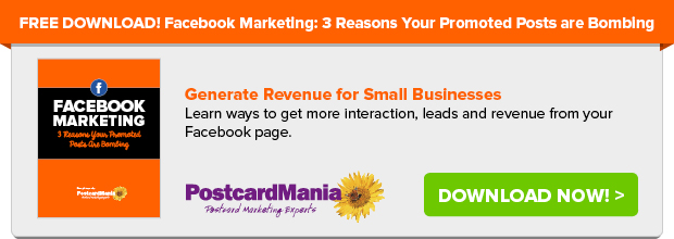 Free Download: Using Promoted Posts on Facebook to Generate Revenue for Small Businesses