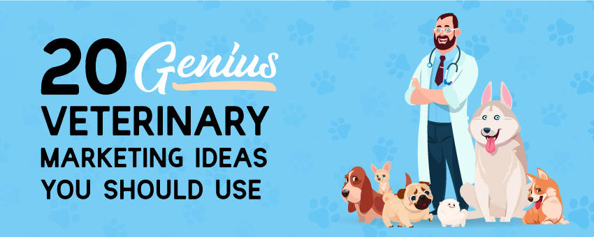 20 genius veterinary marketing ideas you should use
