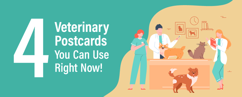 4 Veterinary Postcards You Can Use Right Now