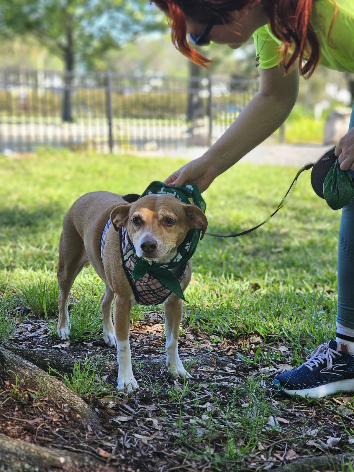 maniacs give back pet walk