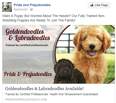 Pride and Prejudoodles facebook ad