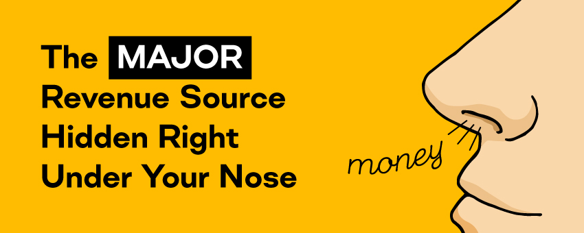 The MAJOR Revenue Source Hidden Right Under Your Nose
