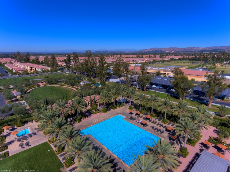 aerial shot of pool and palm trees