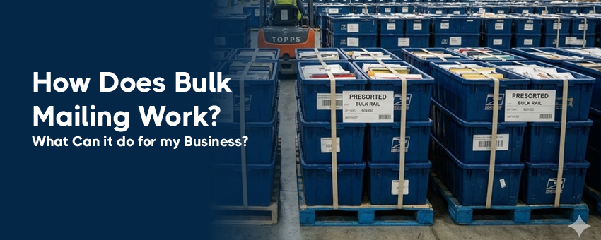 How does bulk mailing work?