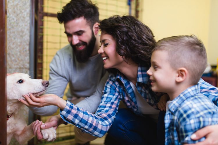 family petting a dog