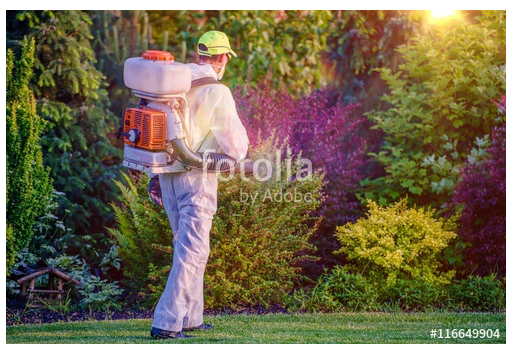 pest control specialist spraying garden