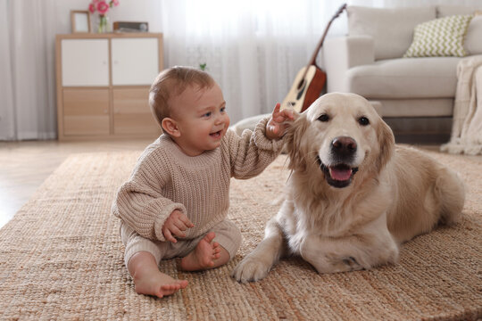 pets photo example