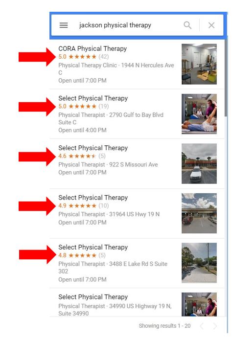 google listings for physical therapy offices with ratings visible