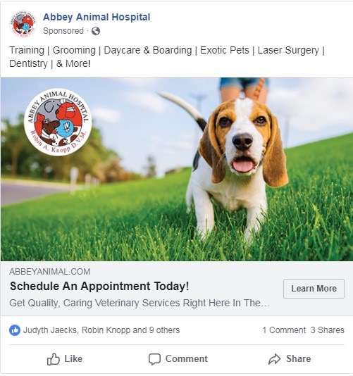 vet facebook ad