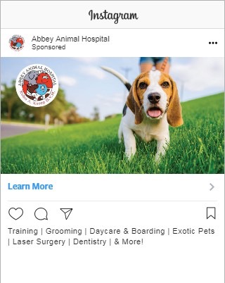 vet instagram ad