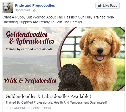 veterinary facebook ad