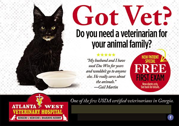 veterinary postcards