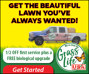 Successful Landscaping Google Ad