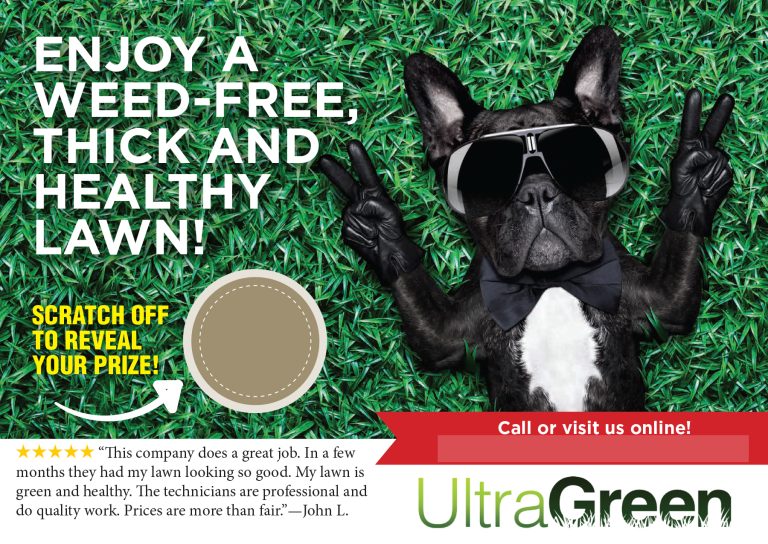 Ultra Green