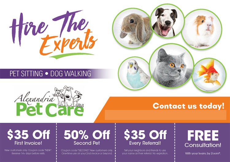 animal-services-postcard-marketing