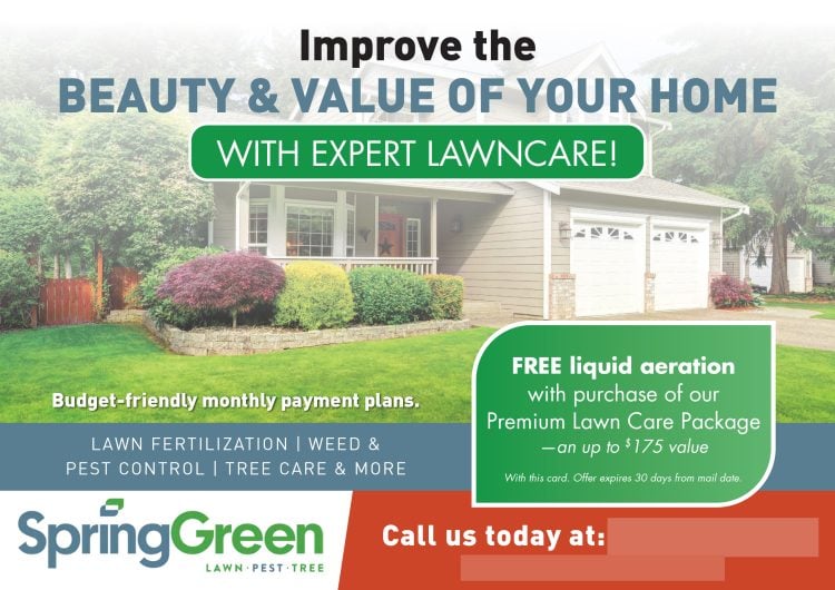 Mailer Design