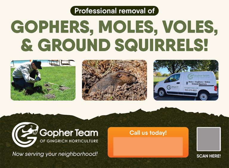 Gopher Team