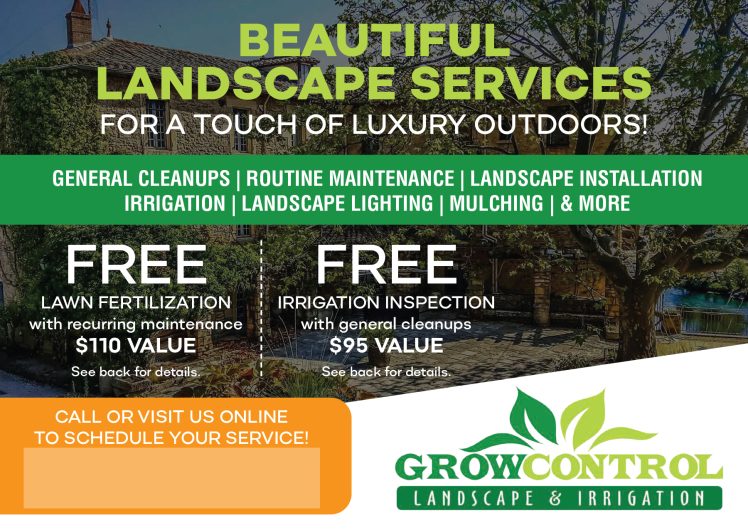 Mailer Design