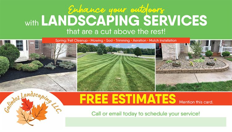 Mailer Design