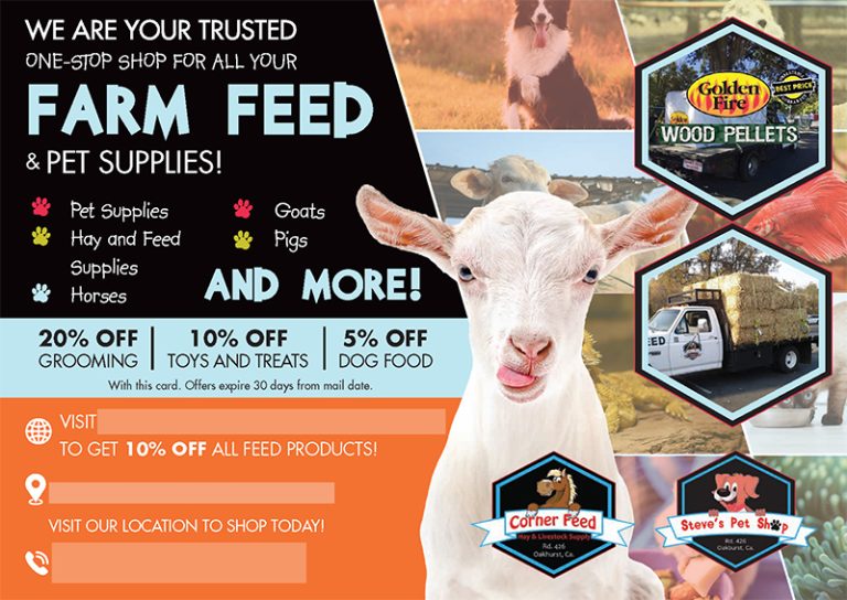 Steve’s Pet Shop