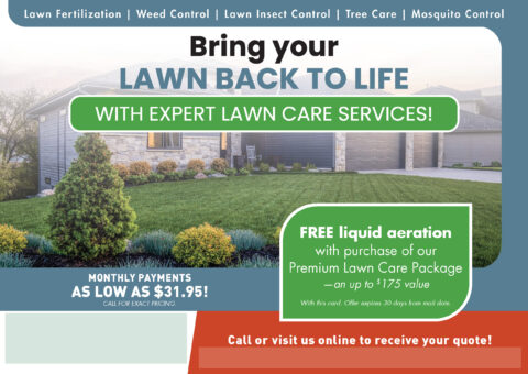 Spring Green Lawn Care