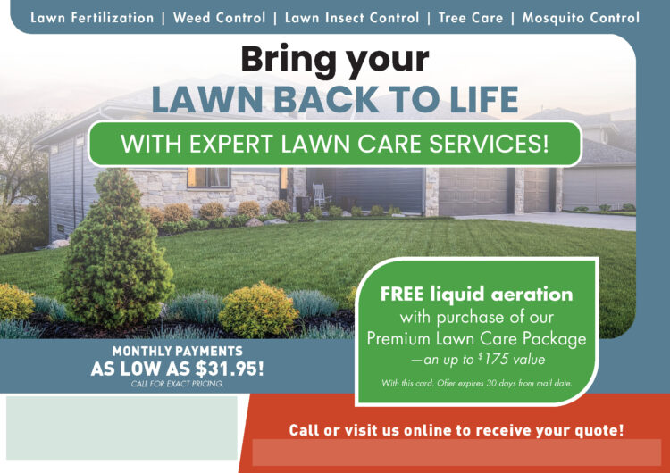Mailer Design