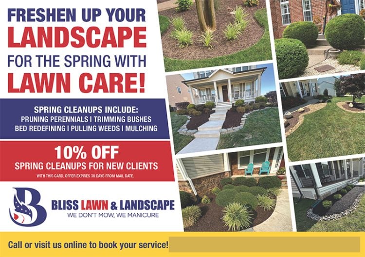 Mailer Design