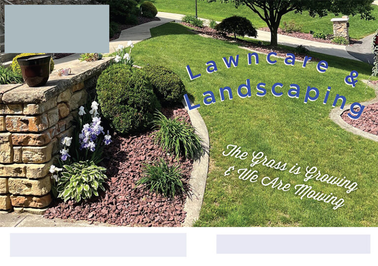 Pristine Grounds Management