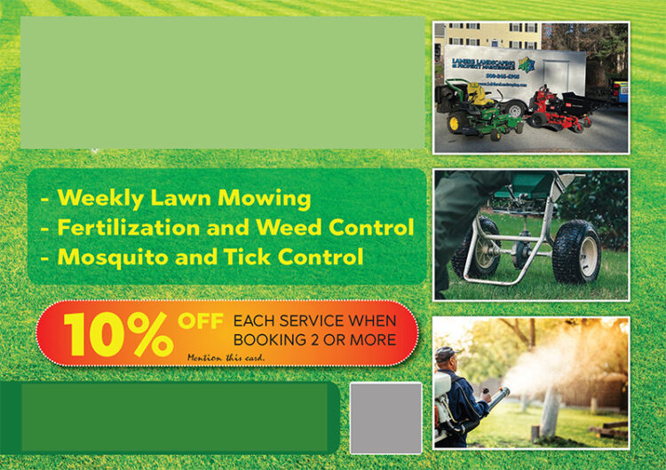 Mailer Design