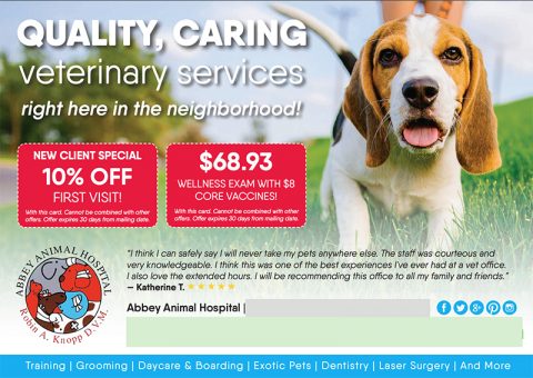 Abbey Animal Hospital