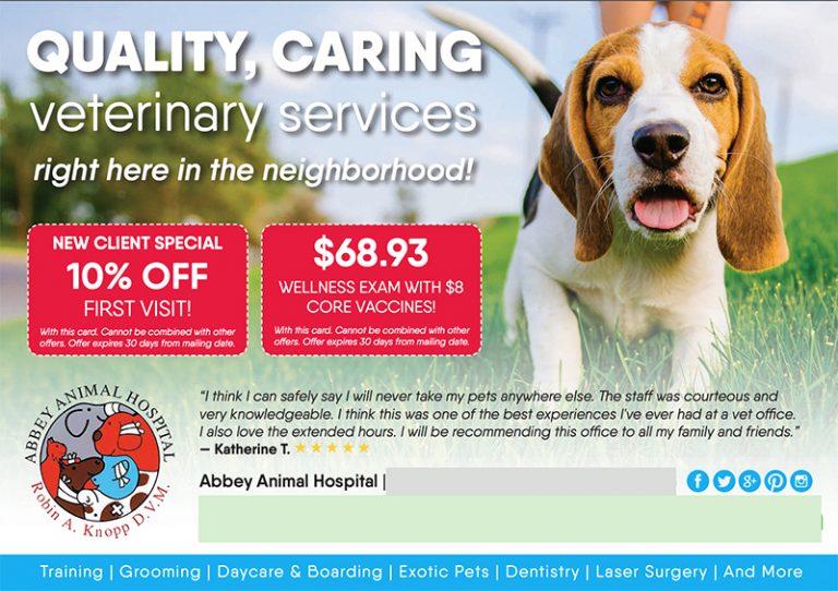 Abbey Animal Hospital