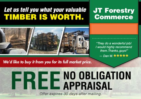 JT Forestry Commerce 