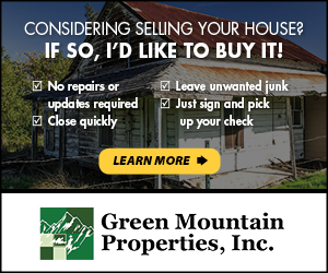 Successful Real Estate Investment Google Ad