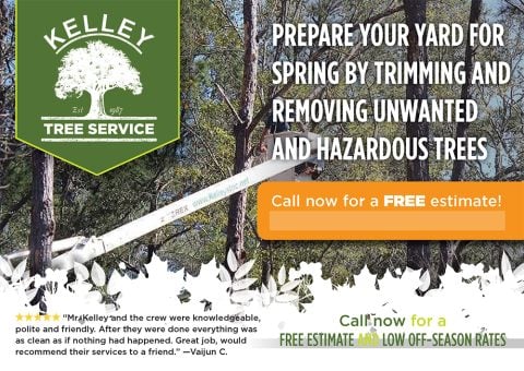 Kelley Tree Service