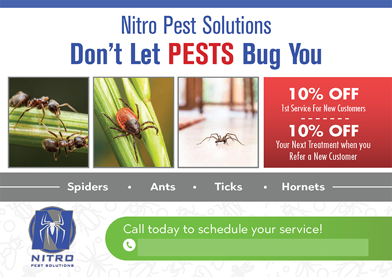 Successful Pest Control Postcard Campaign