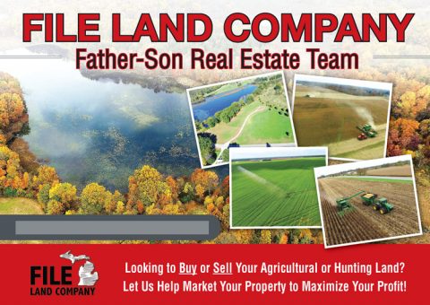 File Land Company