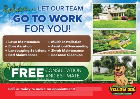 Yellow Dog Lawncare Services