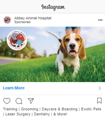 vet-Instagram-ad-idea