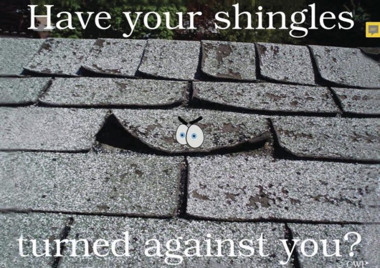 Successful Roofing Postcard