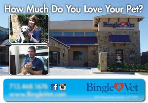 Bingle Veterinary Clinic