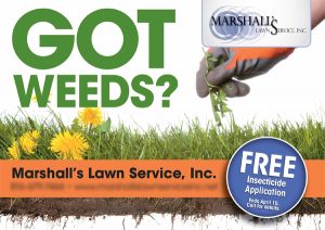 Marshall’s Lawn Service
