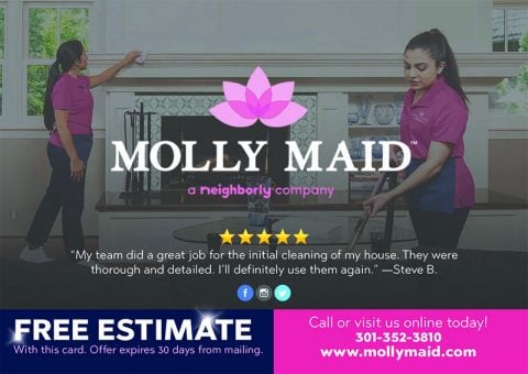 Molly Maid