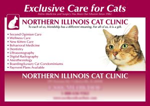 Northern Illinois Cat Clinic