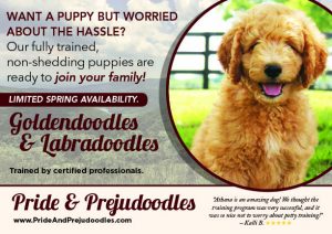 Pride & Prejudoodles