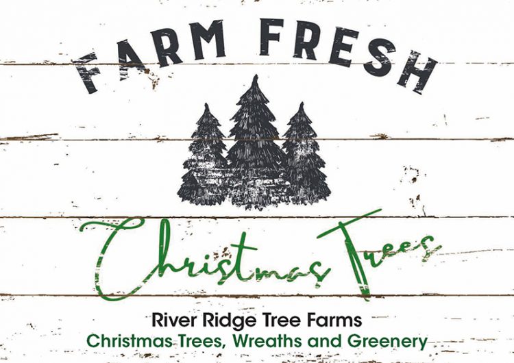 Successful Tree Farm Postcard