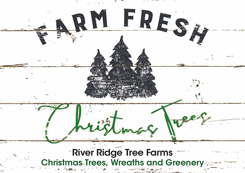 Successful Tree Farm Postcard Campaign