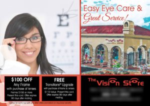 The Vision Store
